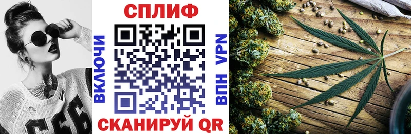 Канабис White Widow  хочу наркоту  Павловск 